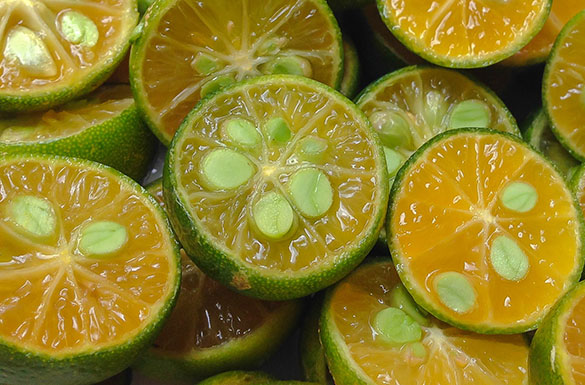 Limoni freschi tagliati a metà, simbolo naturale e fonte ricca di Vitamina C (acido ascorbico) e bioflavonoidi.