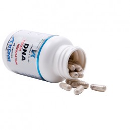 DNA repair (reparator de ADN)