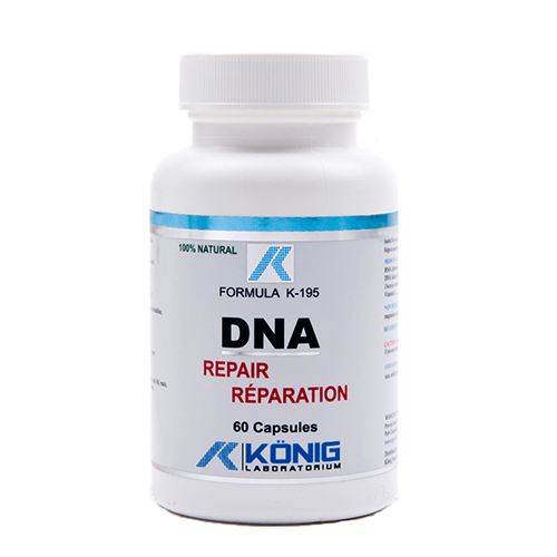 DNA repair (reparator de ADN)