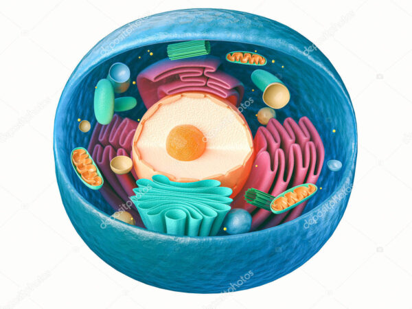 Illustrazione astratta che rappresenta il concetto di difese naturali, protezione cellulare e benessere dell'organismo.
