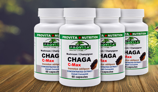 Fungo Chaga (Inonotus obliquus) - super alimento antiossidante per anti-invecchiamento e sistema immunitario