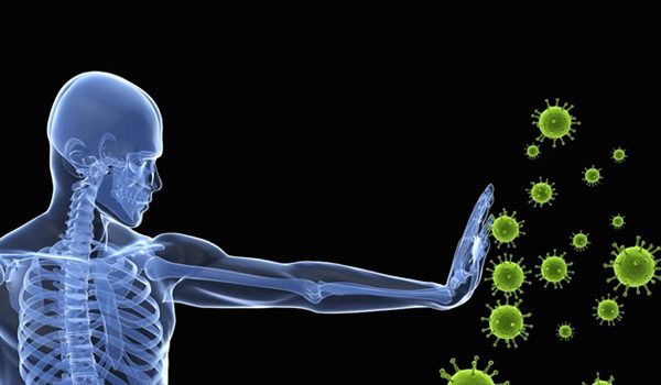 Sistema immunitario umano - difese naturali contro malattie e infezioni