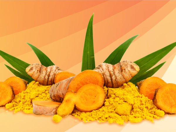 Radice di curcuma fresca e polvere di curcumina - antico rimedio naturale per infiammazioni e salute del fegato