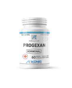 Konig_Progexan