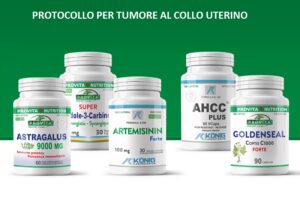 Protocollo nutrizionale Provita Nutrition – integratori selezionati Protocollo nutrizionale Provita Nutrition con integratori in flaconi