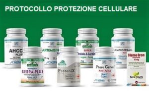 protocol-cancer-la-san-500×333-3-450×300