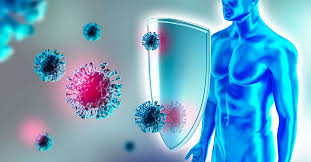 Difesa del sistema immunitario umano contro virus - PROTOCOLLO PER IL SISTEMA IMMUNITARIO