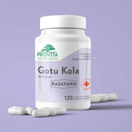Gotu Kola - the plant for longevity